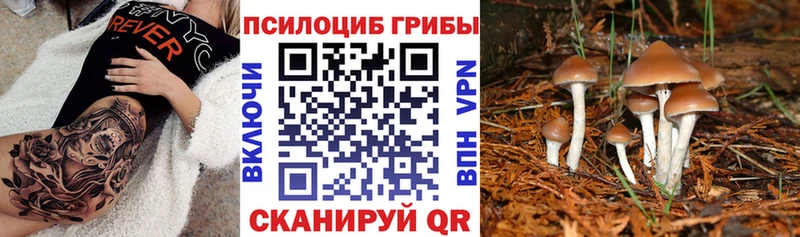 мега ССЫЛКА  Мичуринск  Галлюциногенные грибы ЛСД 