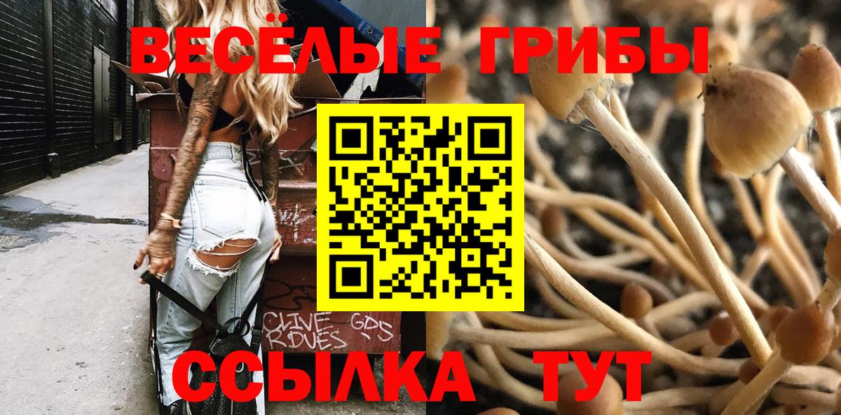 Галлюциногенные грибы Psilocybine cubensis  Вход с VPN  Мичуринск  Псилоцибиновые грибы MAGIC MUSHROOMS 