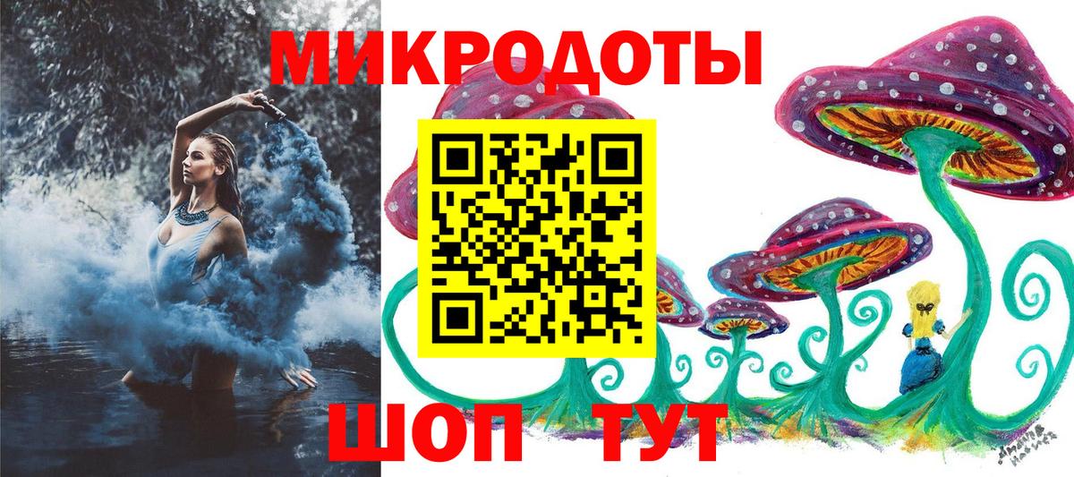 Псилоцибиновые грибы Psilocybe  купить закладку  Псилоцибиновые грибы GOLDEN TEACHER  Мичуринск 