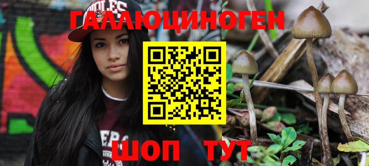 Псилоцибиновые грибы Magic Shrooms Мичуринск