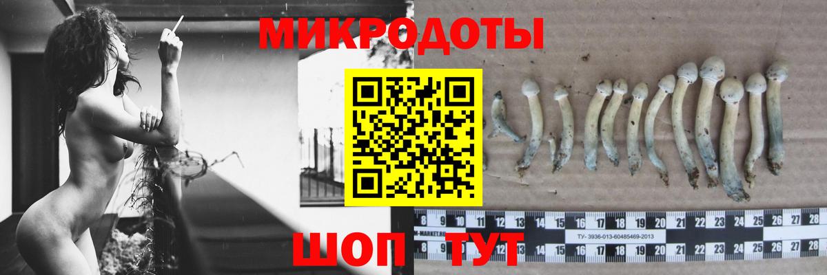 Галлюциногенные грибы Magic Shrooms Мичуринск